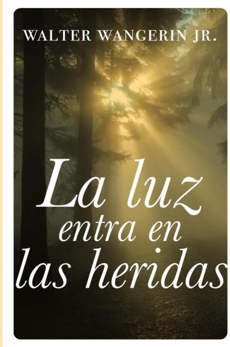 La luz entra en las heridas:Historias sobre la gracia divina de Dios