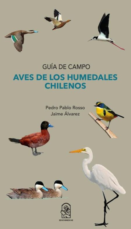 Aves de los humedales chilenos:Guía de campo