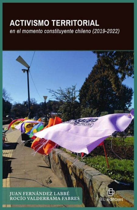 Activismo territorial en el momento constituyente chileno (2019-2022)