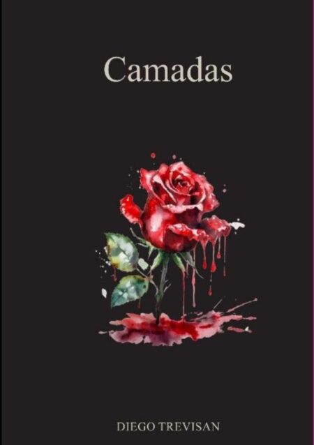 Camadas:As escolhas do intimo