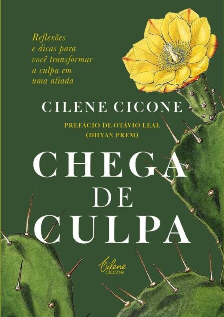 Chega De Culpa:Reflexões e dicas para você transformar a culpa em uma aliada