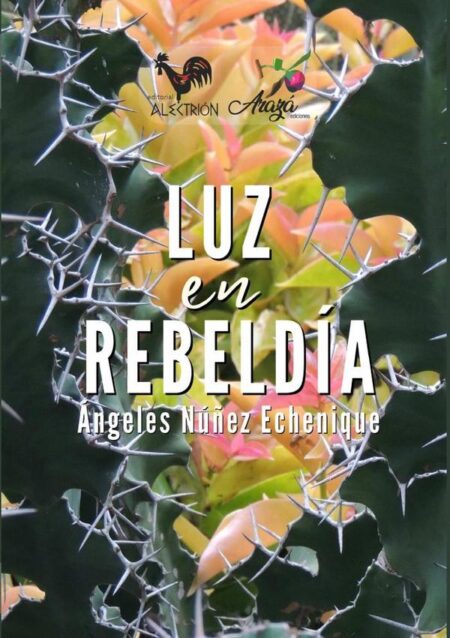 Luz en rebeldía