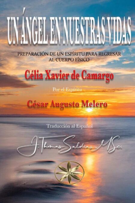 Un ángel en nuestras vidas:PREPARACIÓN DE UN ESPÍRITU PARA REGRESAR AL CUERPO FÍSICO