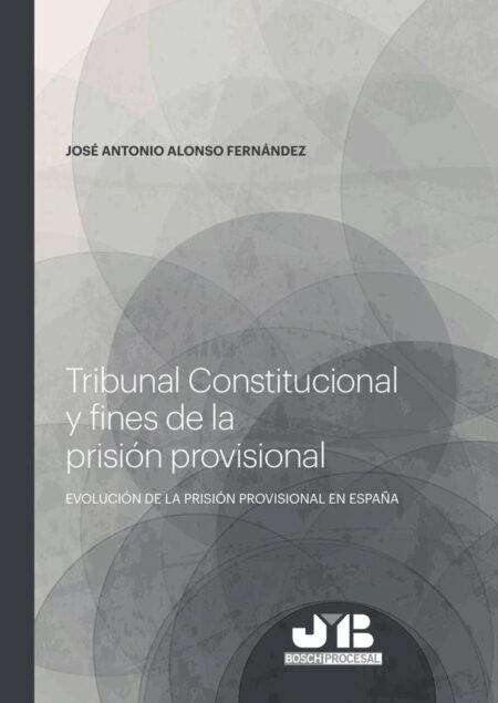 Tribunal Constitucional y fines de la prisión provisional.:Evolución de prisión provisional en España.