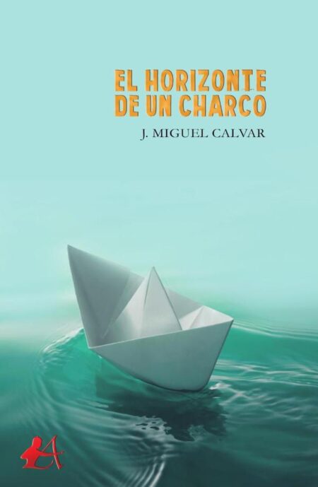 El horizonte de un charco