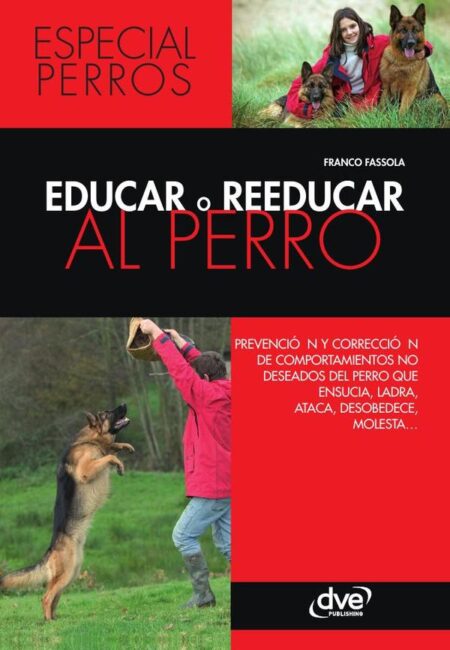 Educar o reeducar al perro