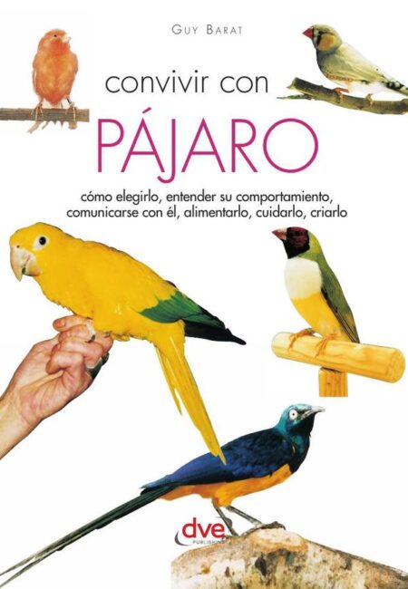 Convivir con su pájaro