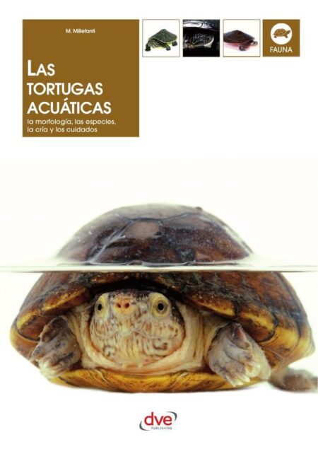 Las tortugas acuáticas