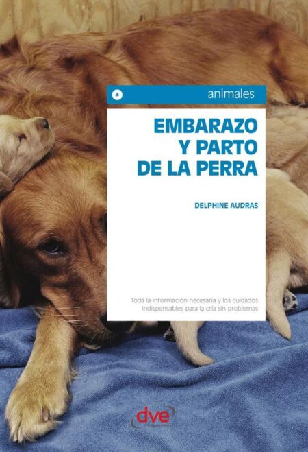 Embarazo y parto de la perra