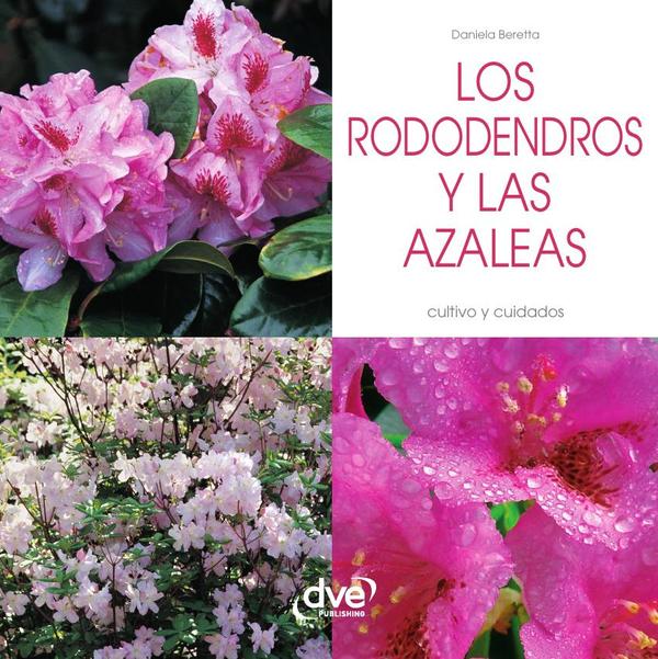 Los rododendros y las Azaleas