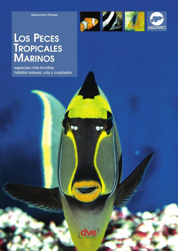 Los peces tropicales marinos