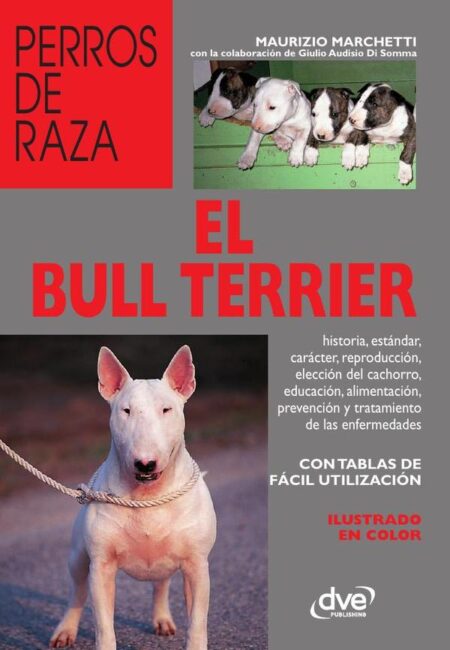 El bull terrier