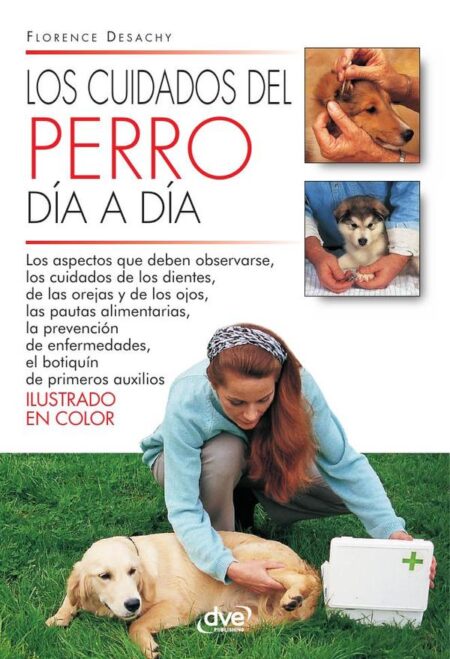 Los cuidados del perro día a día