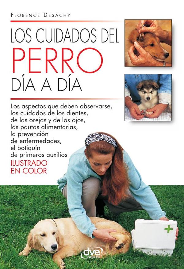 Los cuidados del perro día a día