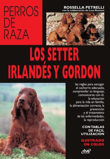 Los setter irlandés y gordon