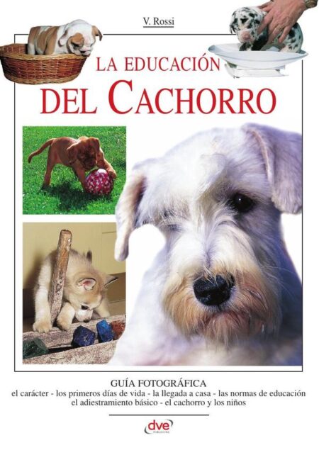 La educación del cachorro