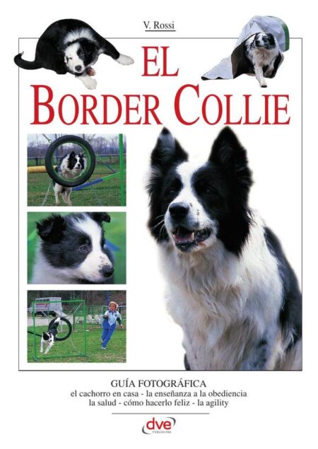 El border collie