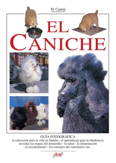 El caniche