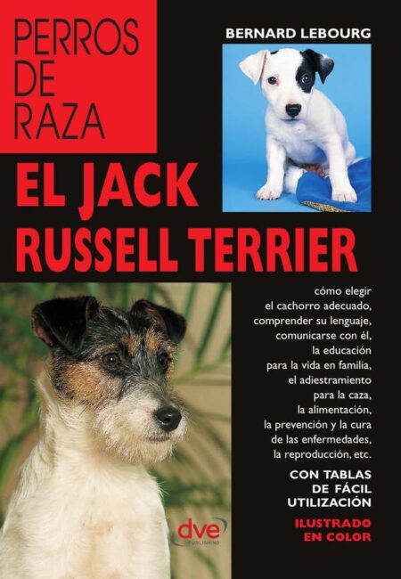 El jack russell terrier