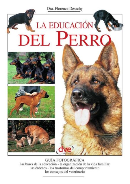 La educación del perro