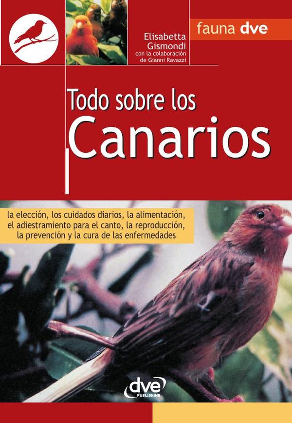 Todo sobre los canarios