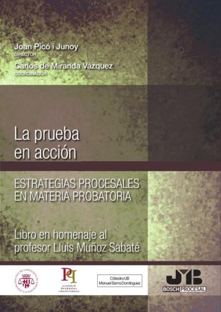 La prueba en acción. Estrategias procesales en materia probatoria.