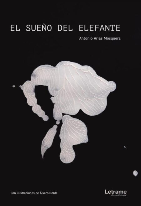 El sueño del elefante