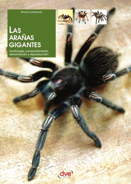 Las arañas gigantes