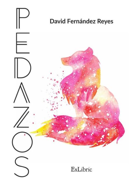 Pedazos
