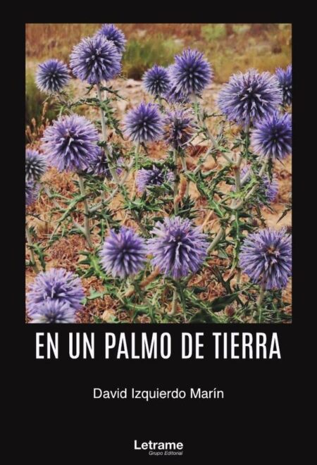 En un palmo de tierra