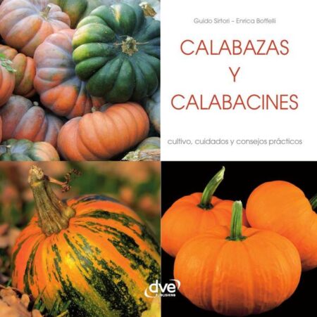 Calabazas y calabacines