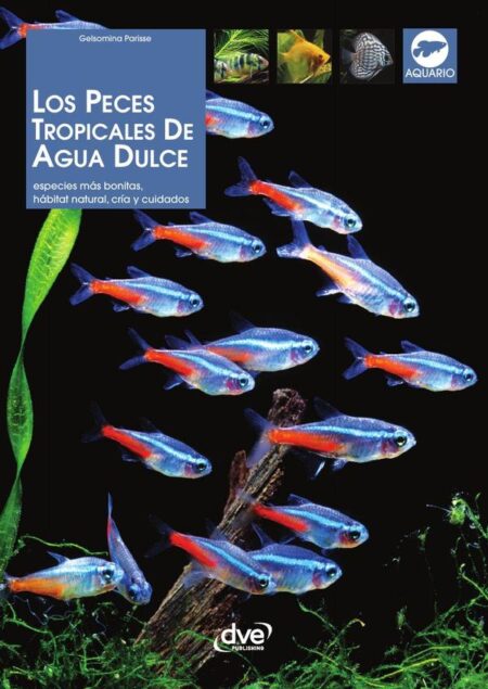 Los peces tropicales de agua dulce