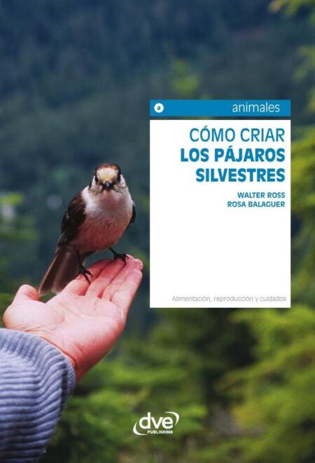 Cómo criar los pájaros silvestres