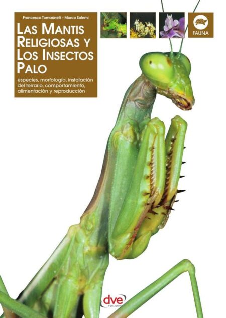 Las Mantis religiosa y los insectos palo