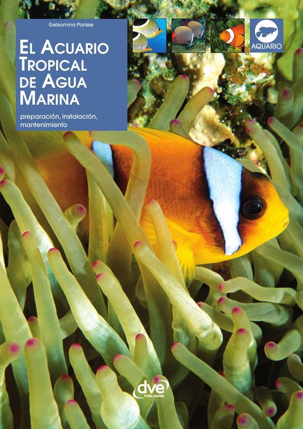 El acuario tropical de agua marina