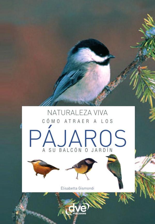 Cómo atraer a los pájaros a su balcón o jardín