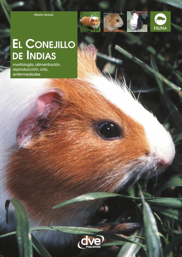 El conejillo de indias