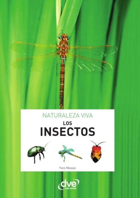 Los insectos