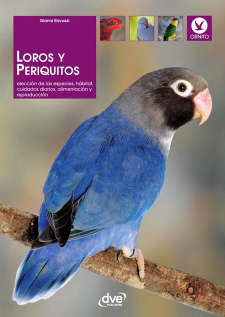 Loros y periquitos