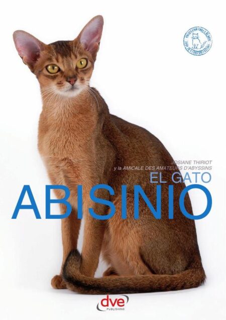 El gato abisinio