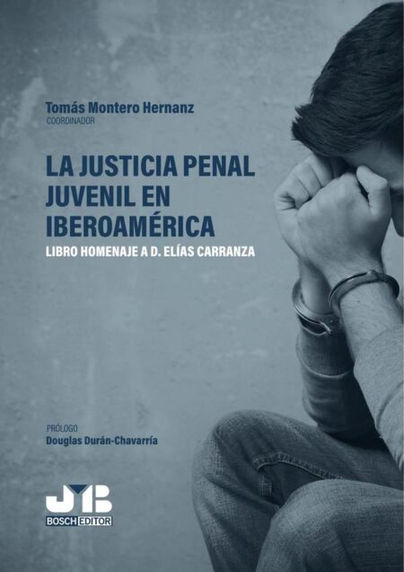 La justicia penal juvenil en Iberoamérica:Libro homenaje a D. Elías Carranza
