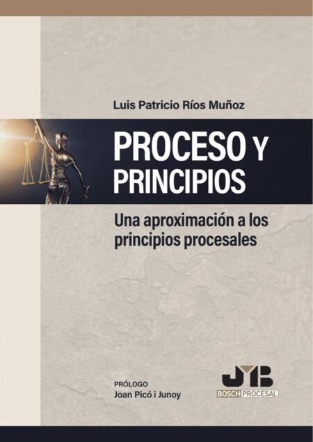 Proceso y Principios:Una aproximación a los principios procesales