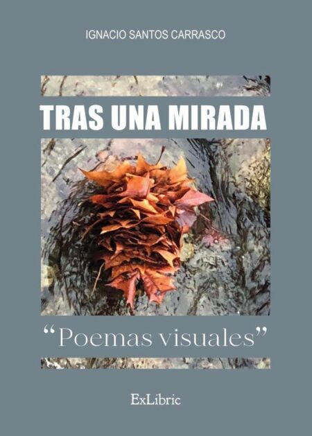 Tras una mirada. Poemas visuales