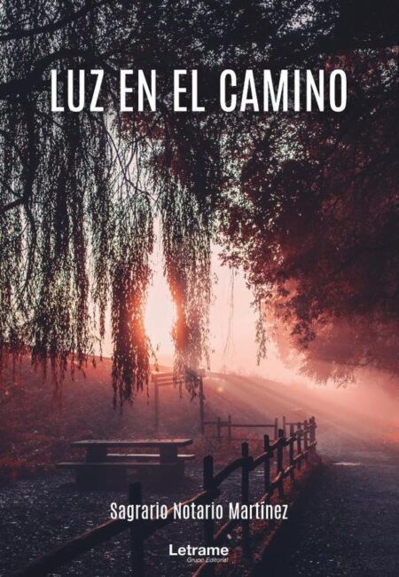 Luz en el camino