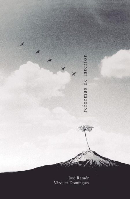 Reformas de interior