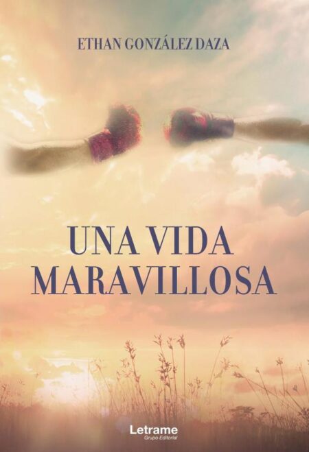 Una vida maravillosa