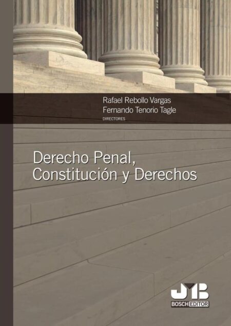 Derecho Penal, Constitución y Derechos