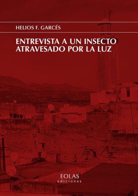 Entrevista a un insecto atravesado por la luz