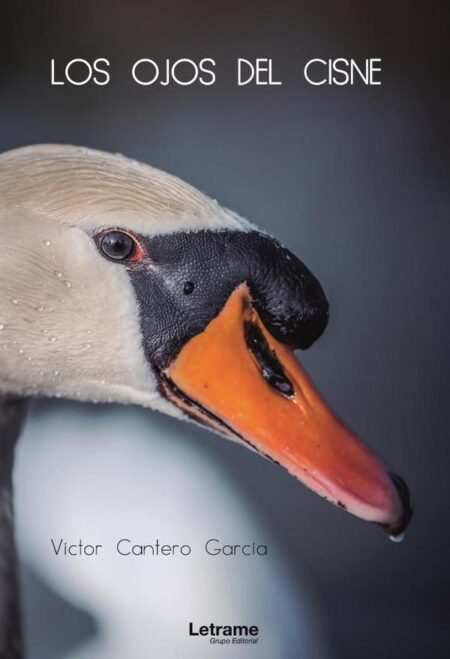 Los ojos del cisne