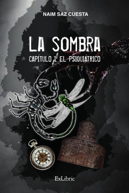 La Sombra. Capítulo I: el psiquiátrico